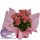 Comprar Kalanchoe