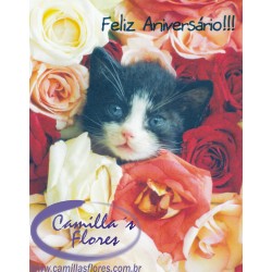 Ampliar: Cartão Importado: Kitten in Roses