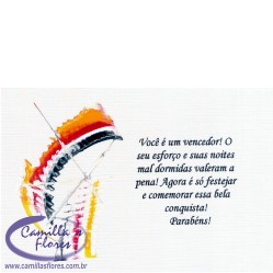 Cartão Vitória 2