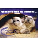 Cartão Importado: Siamese Cats