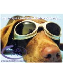 Cartão Importado: Gogle Dog