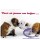 Cartão Importado: Kissing Bulldogs