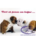 Cartão Importado: Kissing Bulldogs