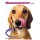 Cartão Importado: Pink Tongue