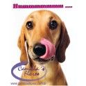 Cartão Importado: Pink Tongue