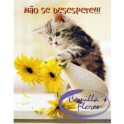 Cartão Importado: Naughty Kitten
