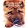 Cartão Importado: Wrinkled Dog