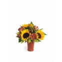Bouquet Eden