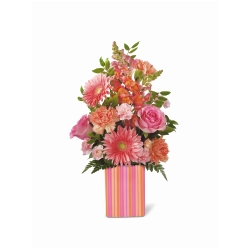 Ampliar: Bouquet Otto