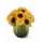 Comprar Bouquet Salem