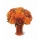 Bouquet Balboa Premium