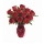 Bouquet Star City
