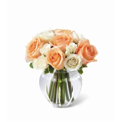 Ampliar: Bouquet Riviera