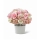 Bouquet Hamlet Deluxe