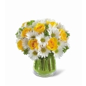 Bouquet Savannah Premium