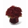 Comprar Bouquet Charlotte