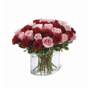 Bouquet Boston Premium