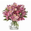 Bouquet San Antonio