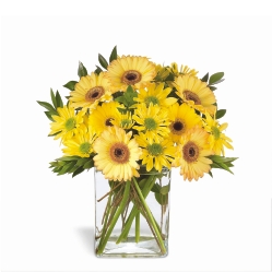 Bouquet San Jose