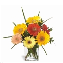 Bouquet Pittsburgh