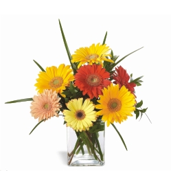 Ampliar: Bouquet Pittsburgh