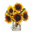 Bouquet Sunnyside