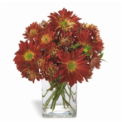 Bouquet Erie