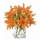 Comprar Bouquet Clearwater