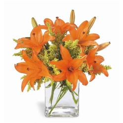 Ampliar: Bouquet Clearwater
