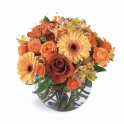 Bouquet Knoxville
