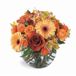Ampliar: Bouquet Knoxville