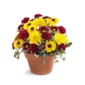 Bouquet Austin