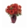 Bouquet Cape Town