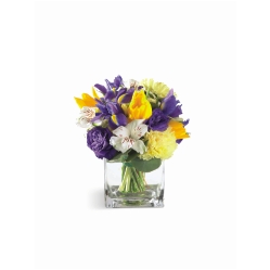Bouquet Aspen