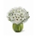 Bouquet Osaka Deluxe