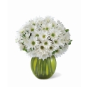 Bouquet Osaka Deluxe