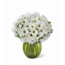 Bouquet Osaka Deluxe