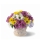 Comprar Arranjo Firenze