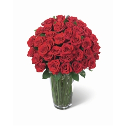 Ampliar: Bouquet Roma Platinum