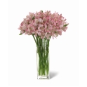Bouquet Buenos Aires