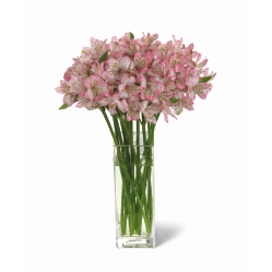 Ampliar: Bouquet Buenos Aires