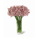 Bouquet Buenos Aires Deluxe