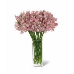 Ampliar: Bouquet Buenos Aires Deluxe