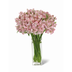 Bouquet Buenos Aires Premium