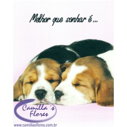 Ampliar: Cartão Importado: Twin Puppies