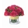 Bouquet Dallas