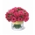 Comprar Bouquet Dallas Premium