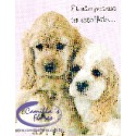 Cartão Importado: Golden Spaniels