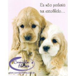 Ampliar: Cartão Importado: Golden Spaniels